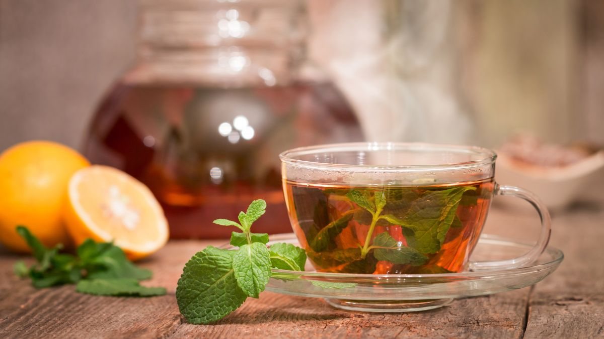 O chá de hortelã, conhecido pelo aroma marcante e pelo frescor característico, segue como uma das bebidas naturais mais apreciadas - Envato
