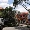 Uma árvore de grande porte caiu na Praça da Árvore, na zona sul da cidade, em função do ciclone extratropical - Fábio Vieira/Estadão Conteúdo