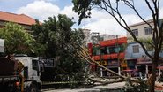 Uma árvore de grande porte caiu na Praça da Árvore, na zona sul da cidade, em função do ciclone extratropical - Fábio Vieira/Estadão Conteúdo