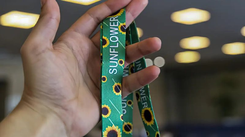 Enquanto o relator sinalizou que irá defender a derrubada do veto no Congresso, associações se mostraram críticas ao PL - Divulgação/Governo do Paraná