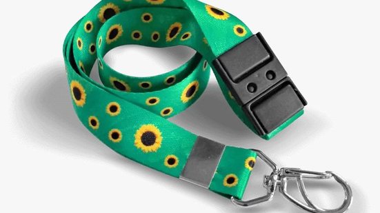 Cordão de girassóis é usado para identificar portadores de deficiências ocultas - Reprodução Câmara Legislativa DF