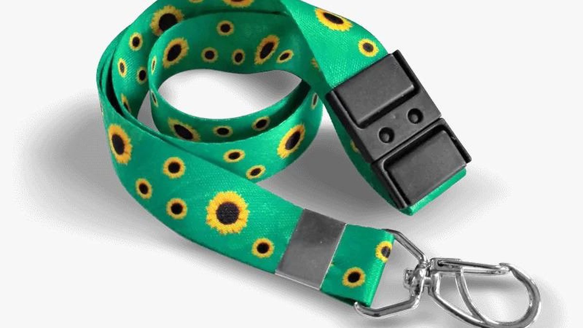 Cordão de girassóis é usado para identificar portadores de deficiências ocultas - Reprodução Câmara Legislativa DF