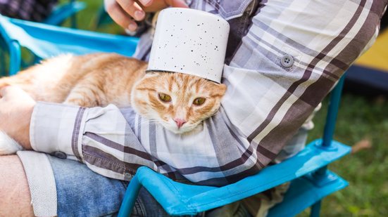 Saber reconhecer os sinais e agir corretamente é decisivo para evitar complicações e salvar vidas - Foto: Envato Elements