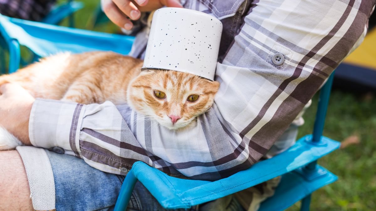 Saber reconhecer os sinais e agir corretamente é decisivo para evitar complicações e salvar vidas - Foto: Envato Elements