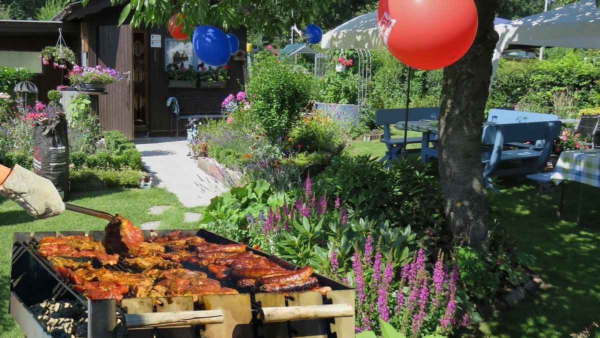 A forma de “curtir a night” está mudando com a geração z, que parece, na realidade, nem gostar de sair à noite. Beber menos e sair de dia são novas tendências.