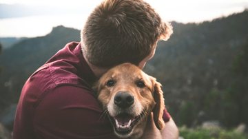 Medida vale para túmulos e jazigos cujas concessões sejam das famílias dos tutores - Unsplash/Eric Ward