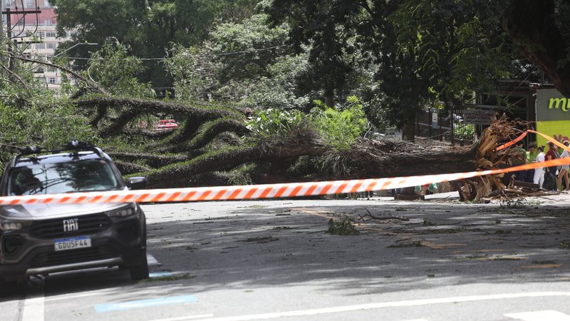 Mais de 2 milhões de imóveis ficaram sem energia na área de concessão da distribuidora; vento derrubou árvores e postes na grande São Paulo - RENATO S. CERQUEIRA/ATO PRESS/ESTADÃO CONTEÚDO