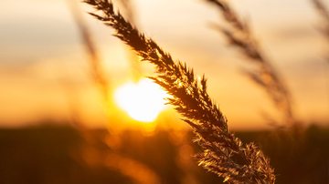 Solstício de verão acontece quando um dos hemisférios está inclinado de forma a receber a maior incidência de luz - Freepik