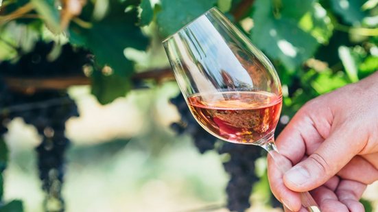 Embora muitos consumidores utilizem qualquer taça disponível, especialistas lembram que cada estilo de vinho responde melhor quando servido no recipiente adequado - Foto: Envato Elements