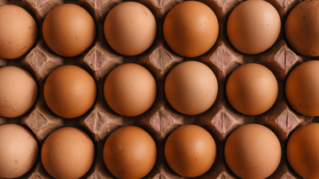 Ovos devem ser refrigerados para maior durabilidade, dizem especialistas - Unsplash
