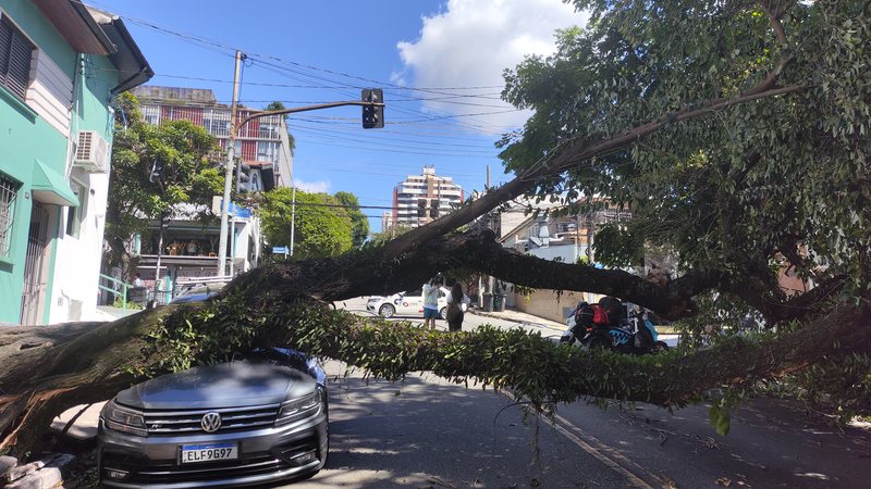 Garantir que sua apólice ofereça uma proteção completa limita riscos e dores de cabeça com eventos climáticos - Estadão Contéudo