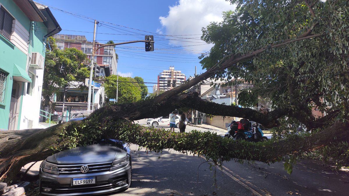 Garantir que sua apólice ofereça uma proteção completa limita riscos e dores de cabeça com eventos climáticos - Estadão Contéudo
