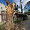 Árvore da Avenida Dr. Arnaldo, na zona oeste da cidade de São Paulo, não resistiu ao vendaval - Estadão Conteúdo