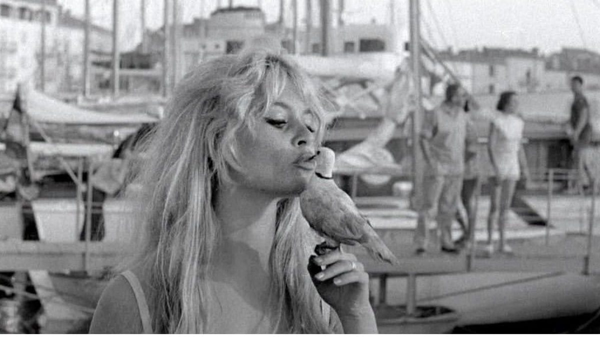 Apesar de sua trajetória no cinema e no ativismo, Brigitte Bardot foi cercada de polêmicas envolvendo falas racistas e apoio à extrema-direita francesa - Reprodução/Foundation Brigitte Bardot