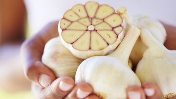 Indicação para uso de alho como substitutivo de antibióticos segue em alta nas redes sociais, mas não tem respaldo científico e pode levar a riscos - Envato