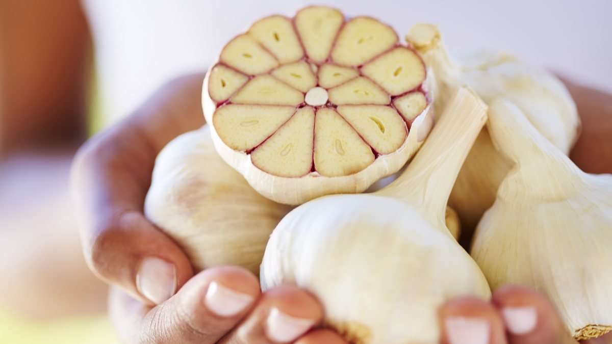 Indicação para uso de alho como substitutivo de antibióticos segue em alta nas redes sociais, mas não tem respaldo científico e pode levar a riscos - Envato