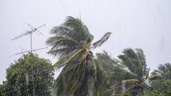 O Estado de São Paulo pode registrar chuvas entre 20 mm a 30 mm por hora, de acordo com  alerta divulgado pelo - Envato