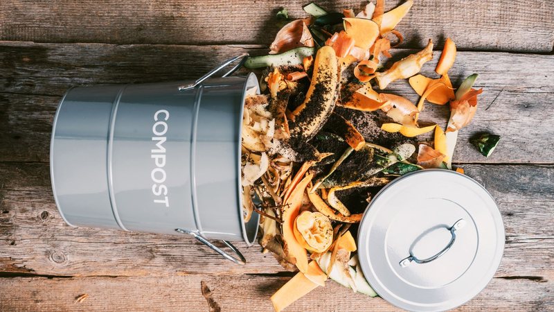 A compostagem é técnica ancestral que consiste na transformação de resíduos orgânicos em adubo por meio da ação de micro e macro organismos - Envato