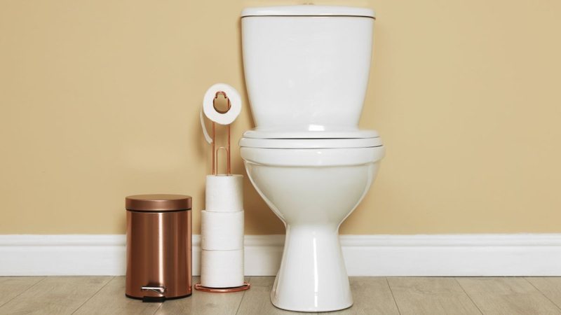 Observar fezes flutuando ou muito escuras no vaso sanitário pode parecer apenas um detalhe - Foto: Envato Elements