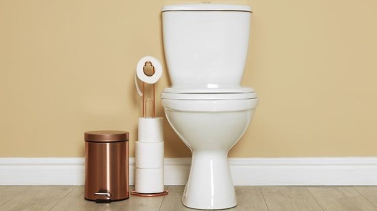 Observar fezes flutuando ou muito escuras no vaso sanitário pode parecer apenas um detalhe - Foto: Envato Elements