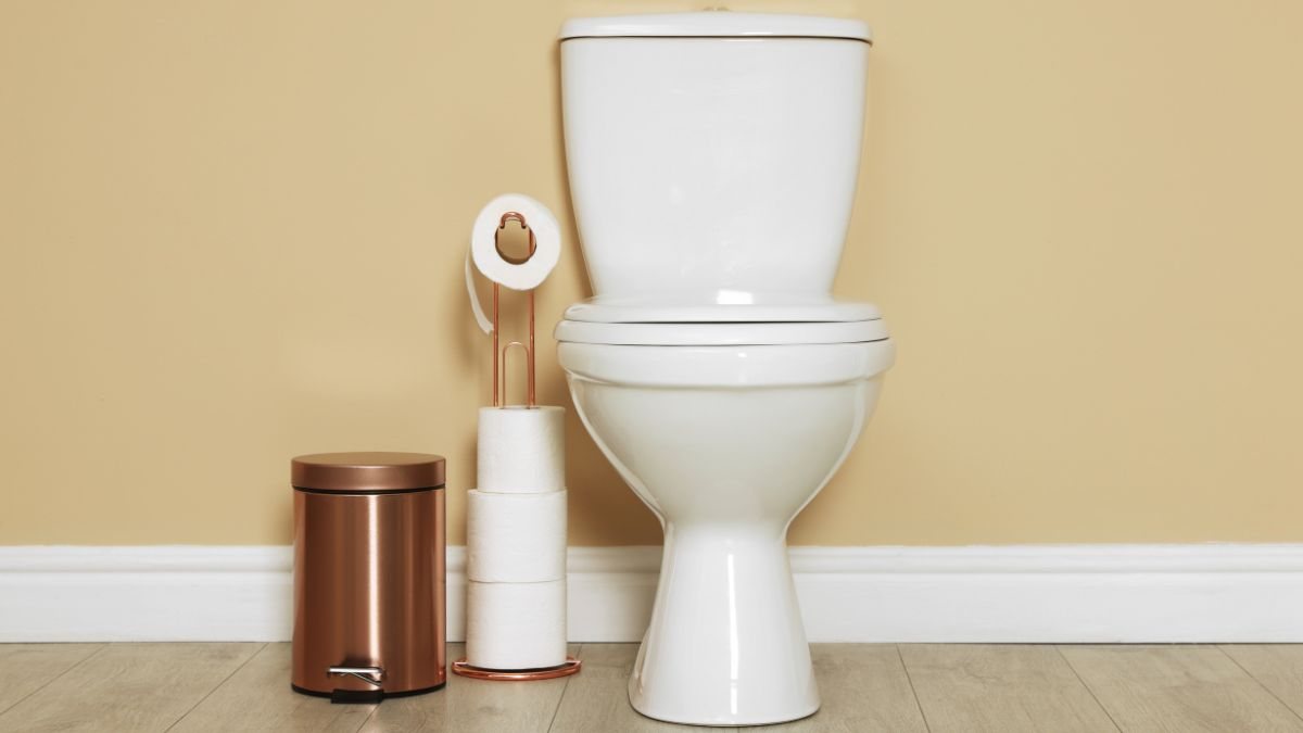 Observar fezes flutuando ou muito escuras no vaso sanitário pode parecer apenas um detalhe - Foto: Envato Elements