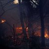 Incêndio na Patagônia argentina ocorre há uma semana - Matias Garay/Greenpeace