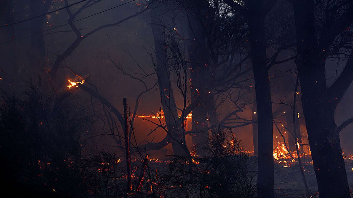 Incêndio na Patagônia argentina ocorre há uma semana - Matias Garay/Greenpeace