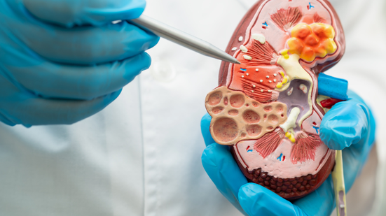 Esse acompanhamento de doenças crônicas, ajuda a indicar como os rins estão filtrando o sangue - Foto: Divulgação/Zacarro