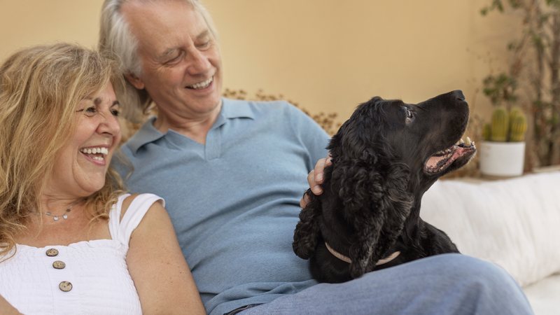 Cães de grande porte são considerados idosos a partir dos 9 anos e de pequeno porte aos 12 anos. Gatos são considerados idosos a partir dos 10 anos - Foto: Freepik