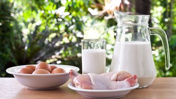 A ingestão de proteína deve estar inserida em refeições completas, feitas com alimentos variados - Foto: Freepik