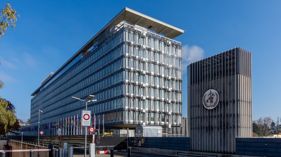 Infectologista Marcus Lacerda será diretor do Programa para Pesquisa e Treinamento em Doenças Tropicais - Adobe Stock