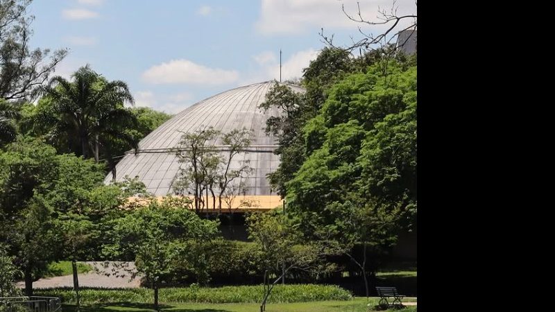 Procuradas, a Prefeitura de São Paulo e a empresa Urbia, responsável pelo parque, não haviam se manifestado até a publicação deste texto - Divulgação/Instagran/@ibirapueraoficial