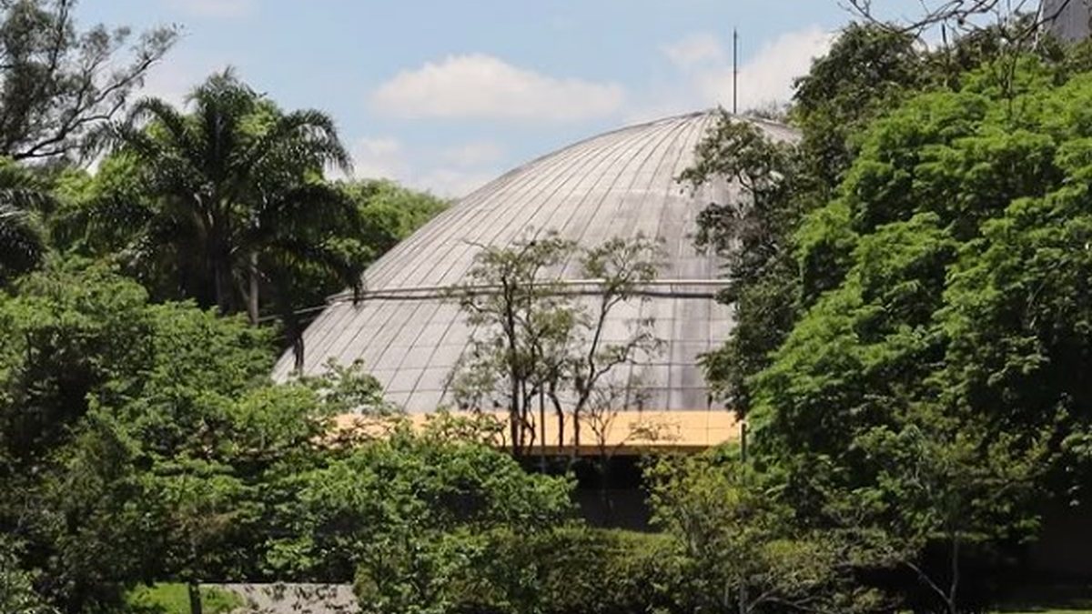 Procuradas, a Prefeitura de São Paulo e a empresa Urbia, responsável pelo parque, não haviam se manifestado até a publicação deste texto - Divulgação/Instagran/@ibirapueraoficial