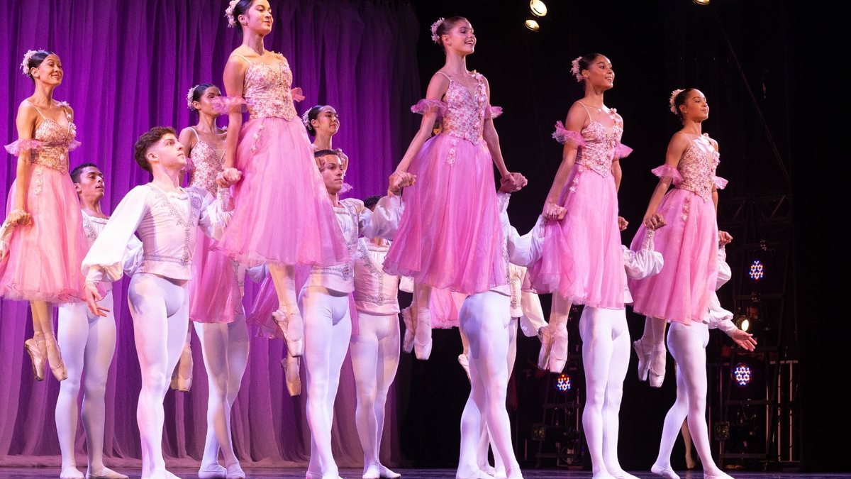 A Escola do Teatro Bolshoi no Brasil é um exemplo da tecnologia, usando a automação para localizar empresas parceiras - Divulgação/Escola do Teatro Bolshoi no Brasil