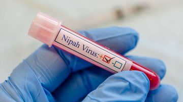 O Nipah é transmitido aos humanos por animais, alimentos contaminados ou diretamente de pessoa por pessoa, por meio de contato próximo - Envato