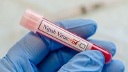O Nipah é transmitido aos humanos por animais, alimentos contaminados ou diretamente de pessoa por pessoa, por meio de contato próximo - Envato