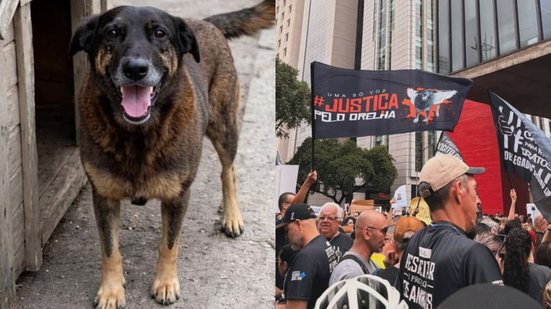 Morte do cão Orelha mobiliza atos pelo Brasil neste domingo - Reprodução/Redes Sociais