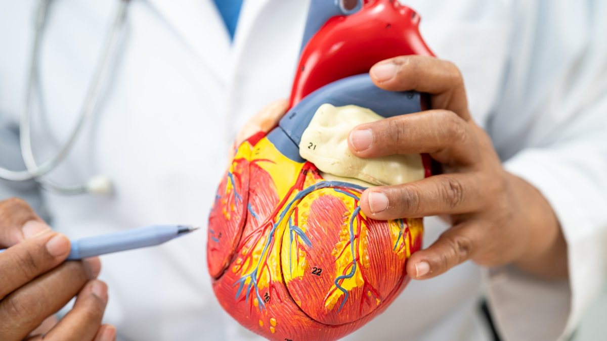 Segundo especialistas, não se sabe ainda como semaglutida age na redução do risco cardiovascular - Envato
