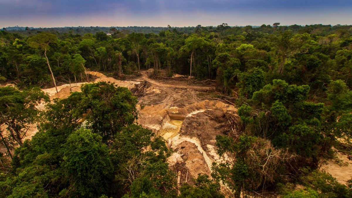 Brasil reduziu em 50% o desmatamento na Amazônia em 2025, na comparação com 2022 - Adobe Stock