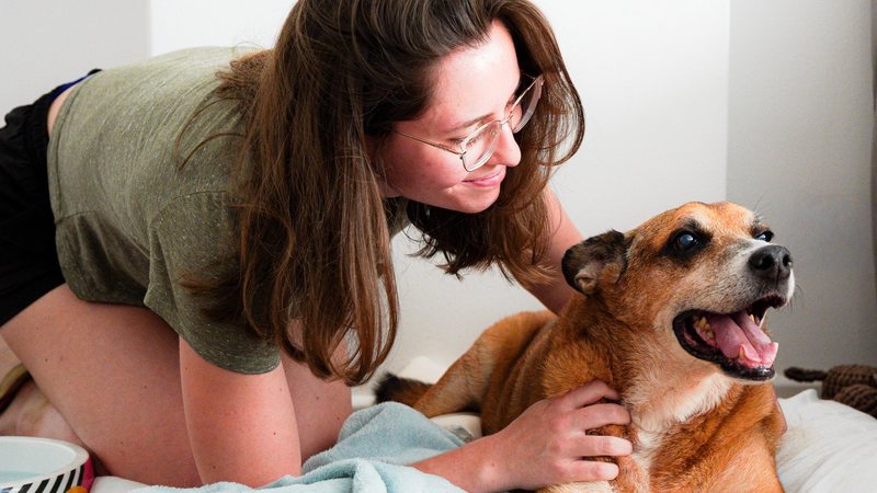 Gordo em casa com sua nova tutora, Luísa - Acervo / SMS