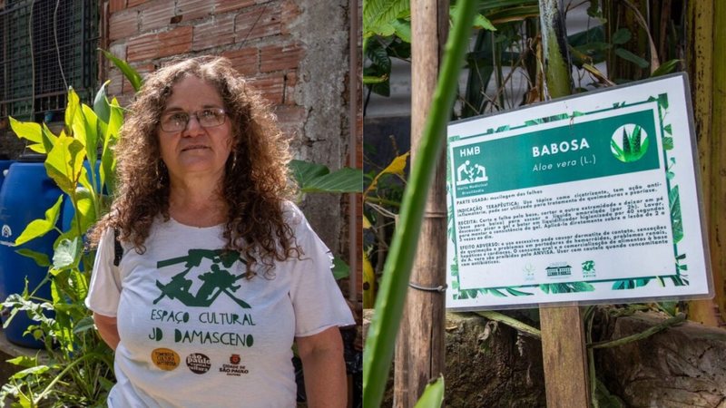 Projeto ganhou apoio da Unifesp e tornou-se referência no cultivo de espécies medicinais - Divulgação/@hortamedicinalbrasilandia