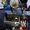 Ministério da Pesca lança edital para valorizar a cultura da pesca artesanal - Reprodução/Agência Brasil