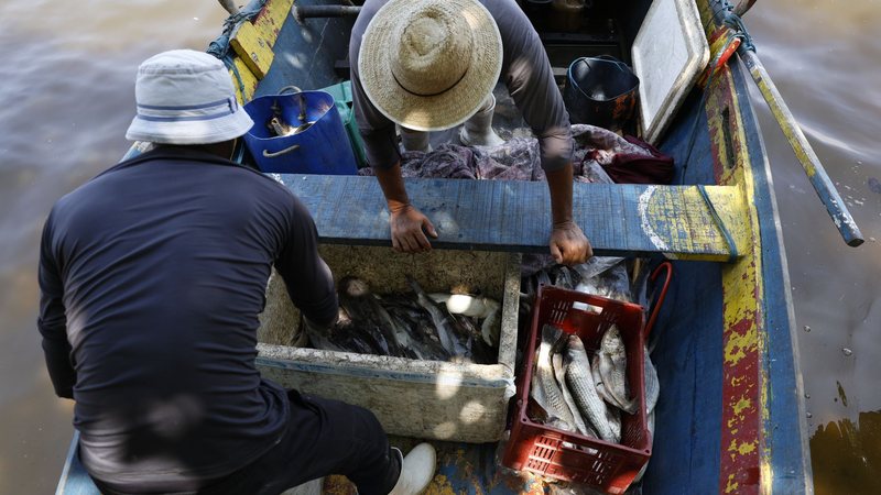 Ministério da Pesca lança edital para valorizar a cultura da pesca artesanal - Reprodução/Agência Brasil