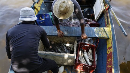 Ministério da Pesca lança edital para valorizar a cultura da pesca artesanal - Reprodução/Agência Brasil