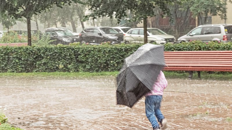 Segundo as previsões,  Sul, Nordeste e Centro-Oeste devem apresentar precipitações abaixo da média histórica - Envato