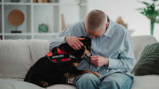 Autor do projeto diz que, com exceção da equoterapia, o Brasil ainda não possui uma regulamentação ampla para o uso terapêutico de animais - Adobe Stock