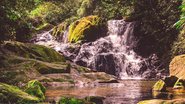 O principal encanto de Paranapiacaba são as trilhas e as cachoeiras - Adobe Stock
