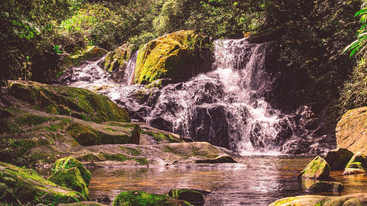 O principal encanto de Paranapiacaba são as trilhas e as cachoeiras - Adobe Stock