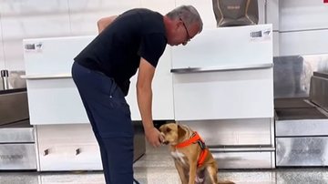 Charlie tem participado de treinamentos e já circula pelos terminais ao lado de funcionários - Reprodução/Instagram @gruairportsp