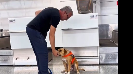 Charlie tem participado de treinamentos e já circula pelos terminais ao lado de funcionários - Reprodução/Instagram @gruairportsp